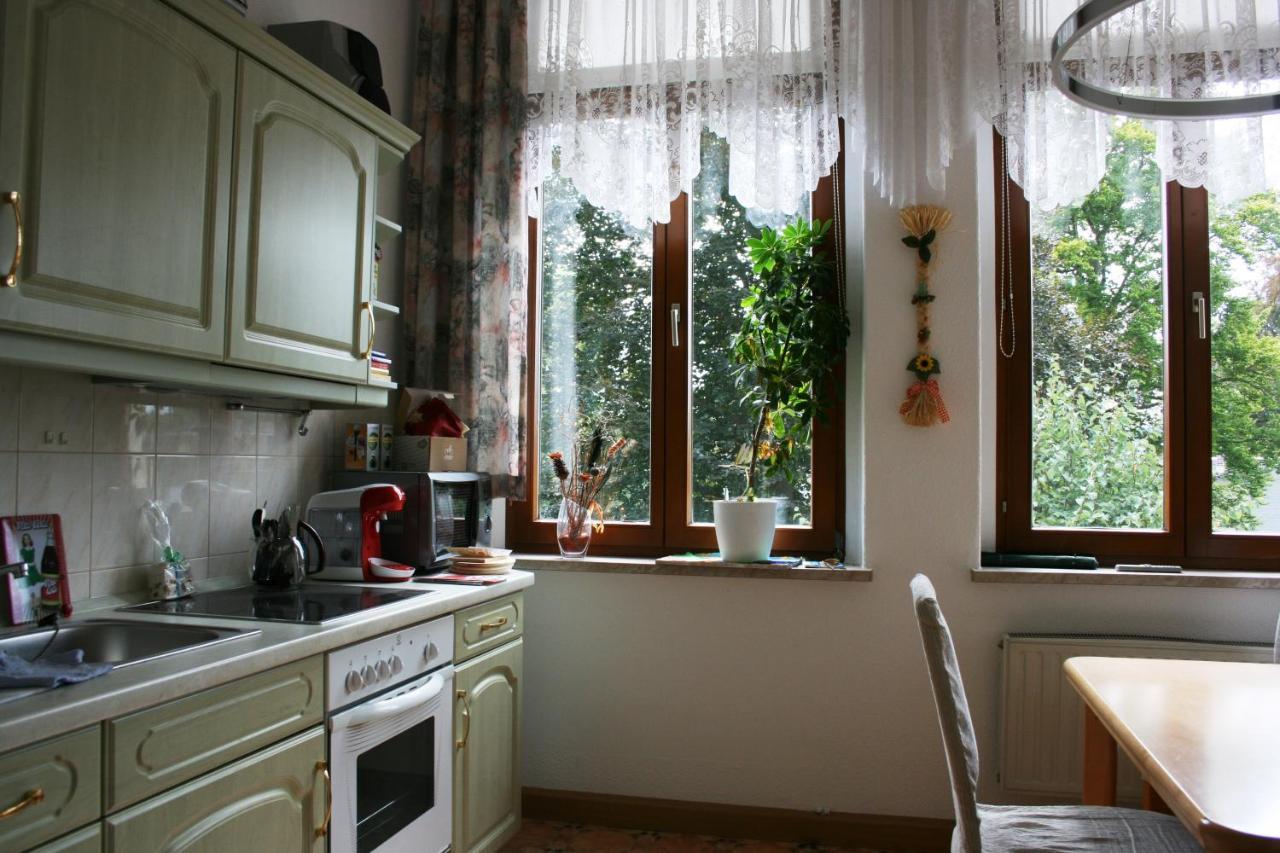 Villa Goeltzschtalblick Netzschkau Zewnętrze zdjęcie