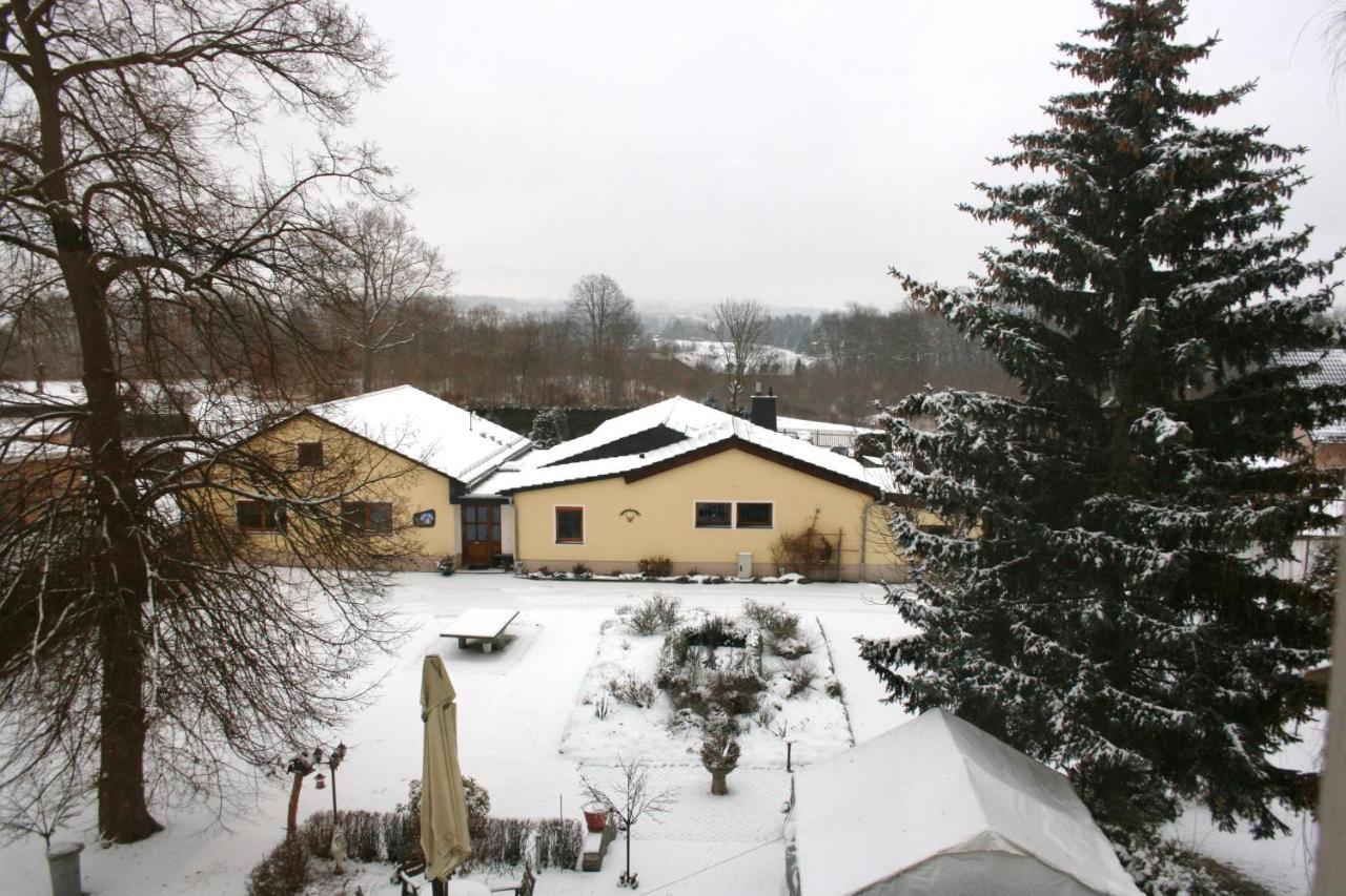 Villa Goeltzschtalblick Netzschkau Zewnętrze zdjęcie